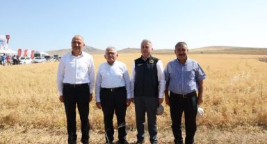 Başkan Büyükkılıç, Felahiye'de Nohut Hasadı Yaptı