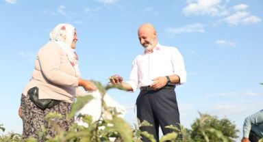 BAŞKAN ÇOLAKBAYRAKDAR’DAN 'GELENEKSEL YAMULA PATLICANI' ETKİNLİĞİNE DAVET