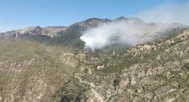 Kahramanmaraş'ta orman yangını!