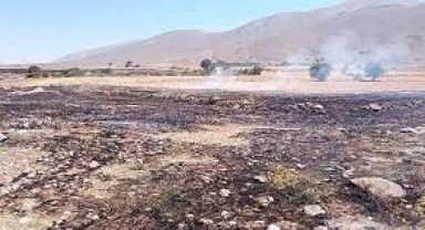 Tomarza'da arazi yangını