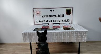 Basın Duyurusu