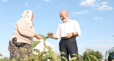 Başkan Çolakbayrakdar’dan 'geleneksel Yamula Patlıcanı' Etkinliğine Davet