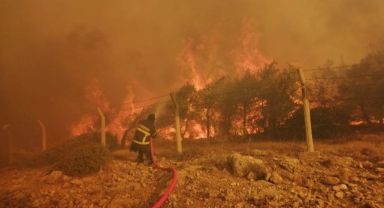 Büyükşehir İtfaiyesi Mersin'deki Orman Yangınlarını Söndürmek İçin Canla Başla Görev Yaptı