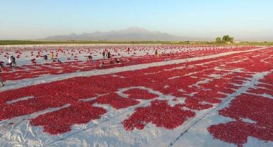 Erciyes'in etekleri kırmızıya boyandı