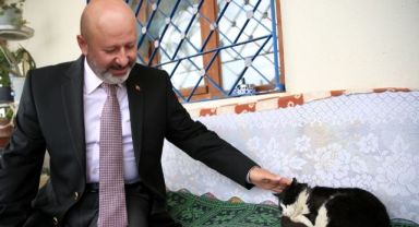Kocasinan'dan Sıcak Bir Yuva; 'Küçük Dostlar Kedi Kasabası'