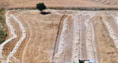 Çiftçi Dostu Başkan Çolakbayrakdar’ın Milli Ve Yerli Tohum Hamlesi Takdir Topladı gelen Kutusu