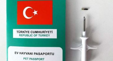 Evcil Hayvan Sahipleri DİKKAT !