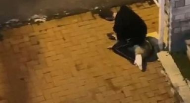 İnsanlığın bittiği an! Sokak köpeğini böyle boğmaya çalıştı