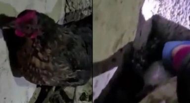 Polisi Şaşkına Çeviren Olay