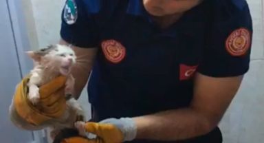 Büyükşehir İtfaiyesi, Tuvalet Giderine Sıkışan Minik Kediyi Kurtardı