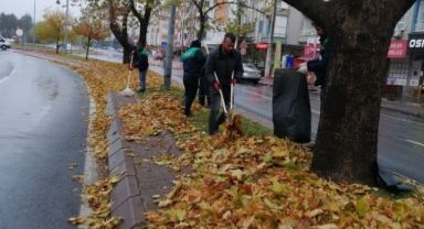 Büyükşehir, Topladığı Gazelleri Gübreye Dönüştürüyor