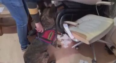 Cephane gibi iş yerine jandarmadan operasyon