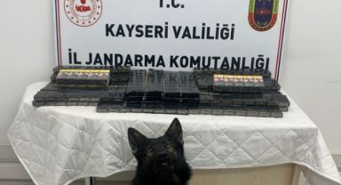Kayseri İl Jandarma Komutanlığınca Pınarbaşı  İlçe Jandarma Komutanlığı , KOM Şube Müdürlüğü ile arama faaliyeti  esnasında şüpheli gözaltına alınmıştır.