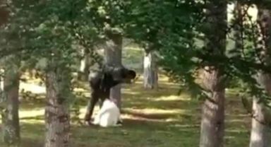 Köpeği kemerle döven şahıs serbest kaldı