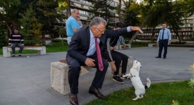 BÜYÜKŞEHİR, 1 YILDA 10 BİN SOKAK HAYVANINA SAHİP ÇIKTI