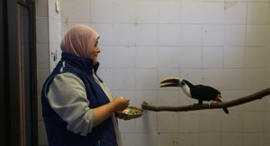 Büyükşehir Hayvanat Bahçesi Sakinlerine Kışa Özel Bakım