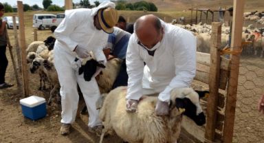 Talas'ta Tarımsal Kalkınmaya Destek Sürüyor