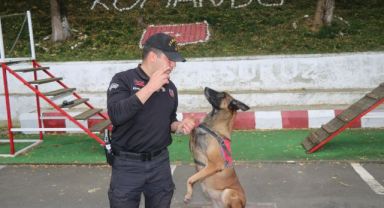 Jandarmanın hassas burnu