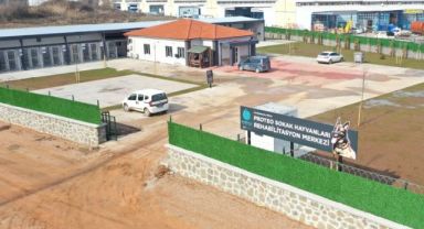 Kahraman köpek Proteo'nun adı Kocaeli'de yaşatılacak