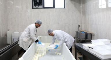 KAYÜ Bağışçılardan Temin Ettiği Sütü Peynir Yaparak Depremzedelere Gönderdi