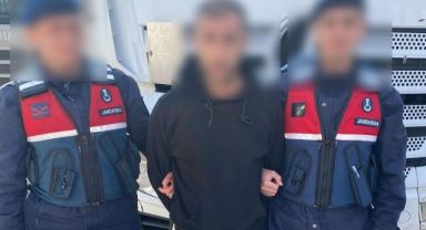 Cinayet zanlısı yurtdışına kaçarken tırın gizli bölmesinde yakalandı