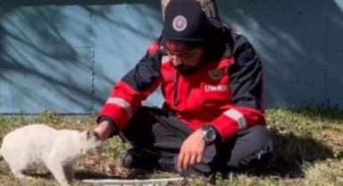 Deprem bölgesinde görev yapan UMKE personeli, yemeğini kedi ile paylaştı