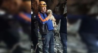 Hatay'da depremin 25. gününde enkazdan bir köpek canlı çıkartıldı