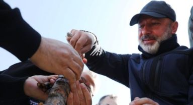 Kocasinan’da Yabani Alıç Ağaçlar, Ekonomik Değere Dönüşüyor
