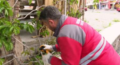 Başkan Çolakbayrakdar; “bütün MahlÛkata, Halik’ın Şefkat Ve Merhamet Nazarıyla Bakıyoruz”