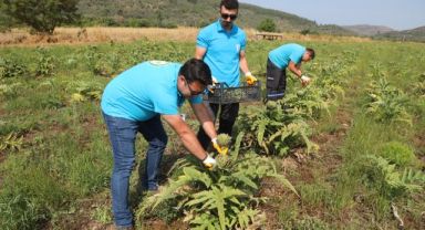 Belediyenin Tarımsal Kalkınma Çalışmaları Sürüyor