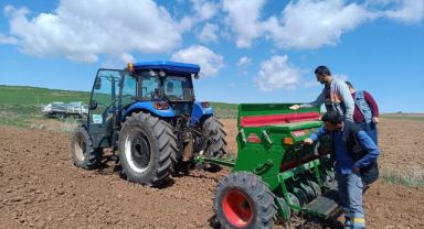 Bünyan Belediyesi Ramazan Ayında İhtiyaç Sahiplerine Dağıtılmak Üzere Aspir Ekimine Devam Ediyor