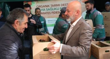 Kocasinan Belediyesi’nin Organik Domates Fidesine Vatandaşlardan Büyük İlgi
