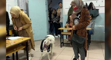 Türkiye'den sandık manzaraları: Kuzusuyla oy kullandı