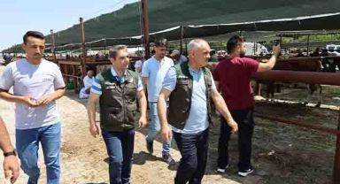 BAŞKAN ESAT ÖZTÜRK KURBAN PAZARINI ZİYARET ETTİ
