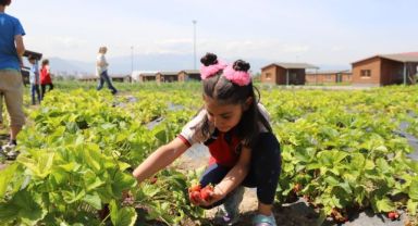 Büyükşehir'in Doğal Ürünler Bahçesi, Minikleri Ağırladı