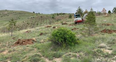 Kayseri Büyükşehir'den Mesire Alanı, Yol ve Refüjlere 15 Bin, İlçelere 225 Bin Fidan