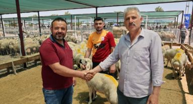 “TALAS KURBAN PAZARI’NDA BÜYÜK BİR HİZMET YAPILMIŞ”