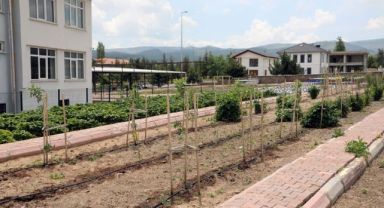 TALAS’TA DENEME BAHÇELERİYLE YENİ ÜRÜNLERE TEŞVİK