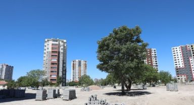 BAŞKAN ÇOLAKBAYRAKDAR; “DÖNÜŞÜMLE