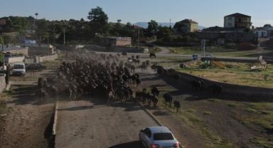 Burası Afrika değil Kayseri