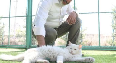 KOCASİNAN’DAN SICAK BİR YUVA; ‘KÜÇÜK DOSTLAR KEDİ KASABASI’
