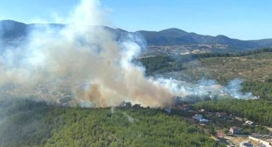 Muğla ve İzmir'de orman yangınları çıktı! Yoğun duman görülüyor, vatandaşlar denizden tahliye ediliyor