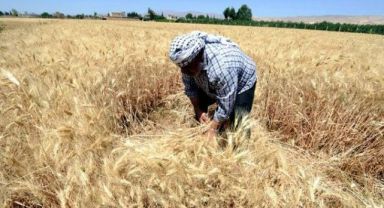 Afet bölgesindeki çiftçilere 8.8 milyar lira destek verildi