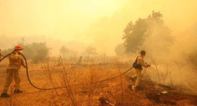 Çanakkale'de büyük orman yangını! 1 köy boşaltılıyor, can kaybı var mı? Bölgeden dehşet verici fotoğraflar geldi