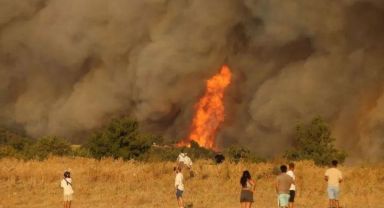 Çanakkale'deki orman yangınında son durum! Rüzgar