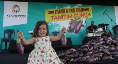 KOCASİNAN’DA YAMULA PATLICANI FESTİVALİ'NE 10 BİNLERCE KİŞİ KATILDIv
