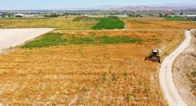 BAŞKAN ÇOLAKBAYRAKDAR, EKİMİNİ YAPTIĞI ASPİRİN HASADINI DA KENDİSİ YAPTI -KOCASİNAN, ÜRETTİĞİ ASPİRİ YİNE YAĞ OLARAK İHTİYAÇ SAHİPLERİNE DAĞITACAK!