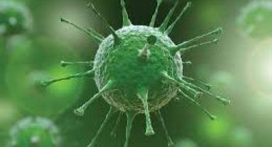 Eris yayılıyor vaka sayısı arttı! Mehmet Ceyhan'dan çok önemli açıklamalar Covid-19 geri mi dönüyor?