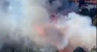 İstanbul Maltepe'de orman yangını çıktı! Ekipler bölgede, yerleşim yerlerine çok yakın...