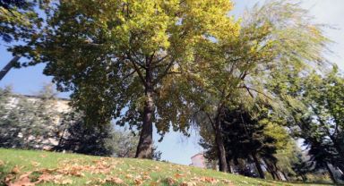 SONBAHARDA YEŞİLİN HER TONU TALAS’TA